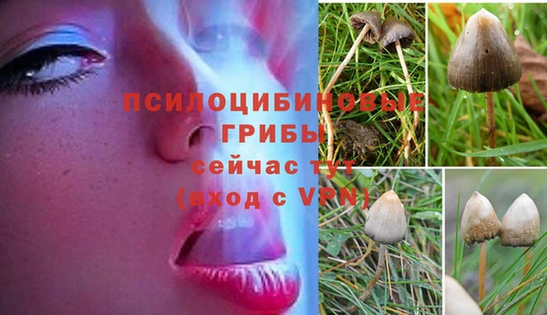 тгк Михайловск