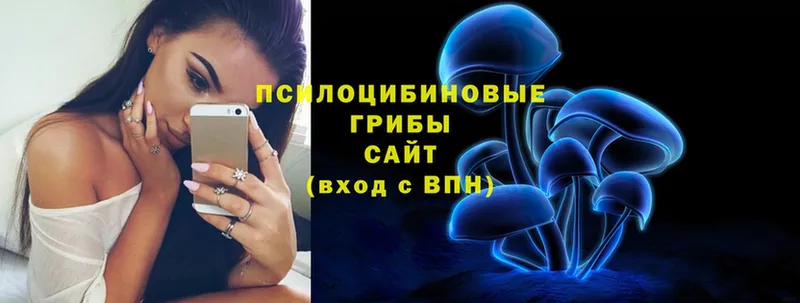 Псилоцибиновые грибы Psilocybe  закладка  Жирновск 