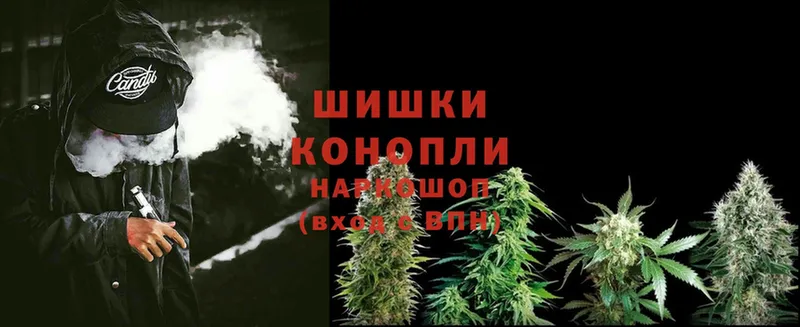 mega вход  купить закладку  Жирновск  Конопля OG Kush 